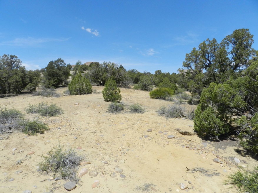 6531 Mulligans Rd, Farmington, NM 87402 - photo 1