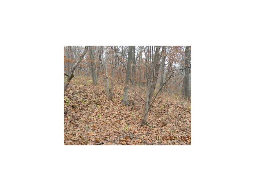 Land/Lot. Wooded Lot