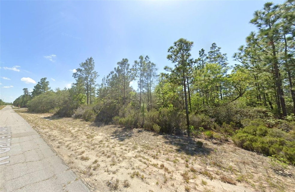 10660 N Caldera Ave, Citrus Springs, FL 34433 - photo 1