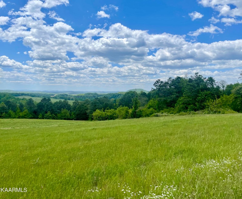 0 Clark Rd Somerset Farms Lot 4 unit 1226750, Rutledge, TN 37861 - photo 1