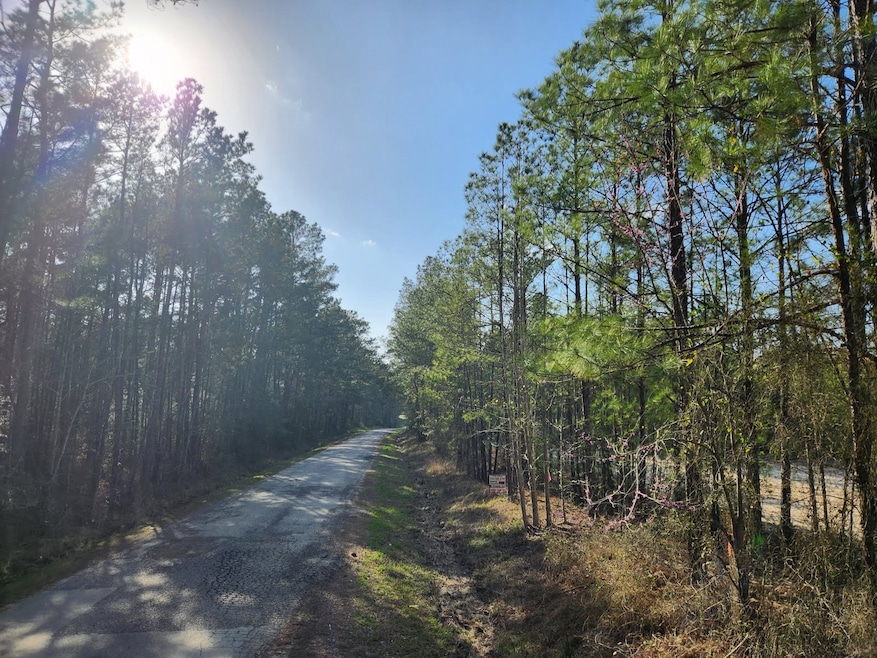 1037 Counts Rd, Point Blank, TX 77364 - photo 1