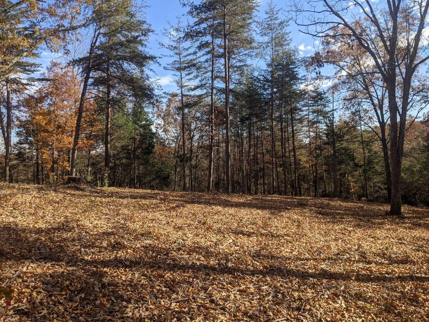 0 the Village of Dale Hollow unit 12, Burkesville, KY 42717 - photo 1