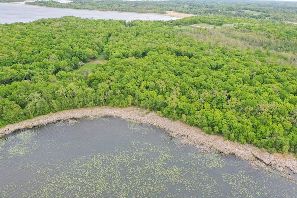 0 Tbd Ne Rock Lake Rd unit 24708708, Rochert, MN 56578 - photo 1