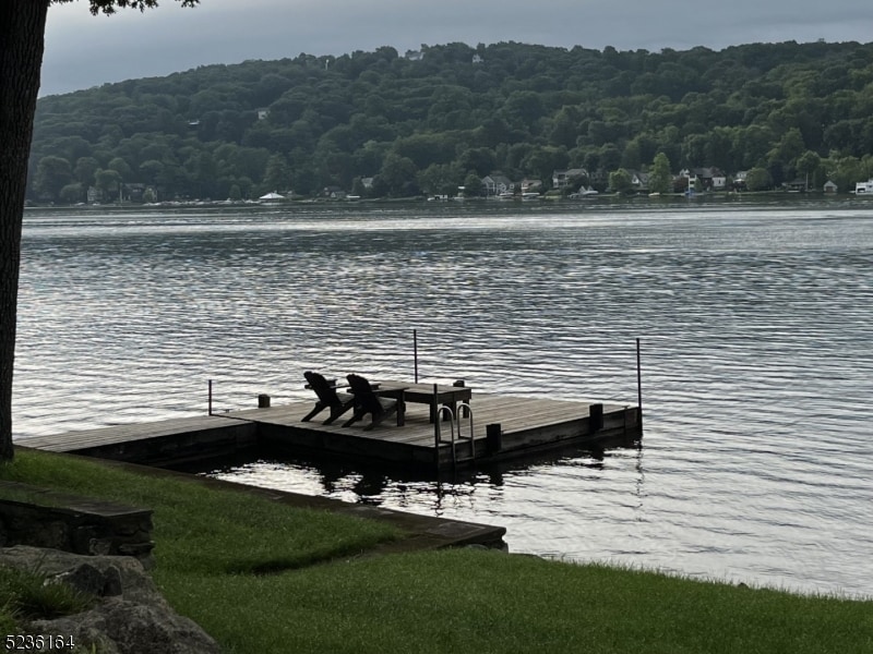 692 W Shore Trail, Sparta, NJ 07871 - photo 1