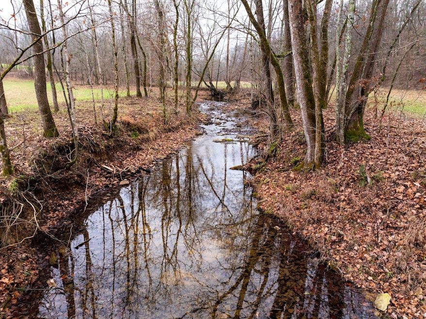 0 Shelter Branch Rd, Cumberland Furnace, TN 37051 - photo 1