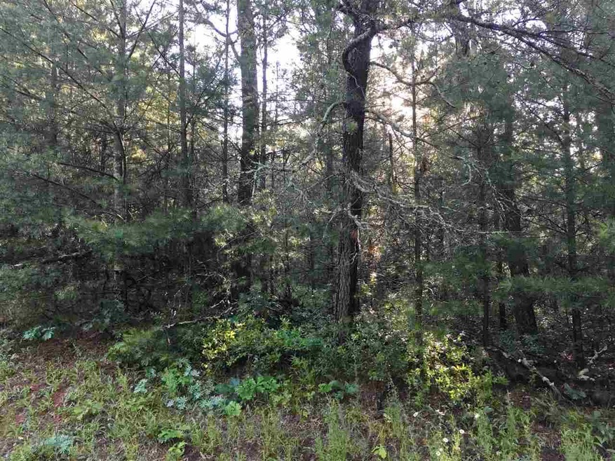 L41 Cranberry Creek Rd, Cutler, WI 54618 - photo 1