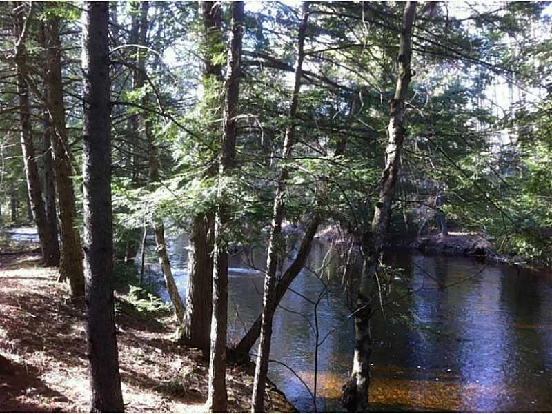 Pristine River Frontage