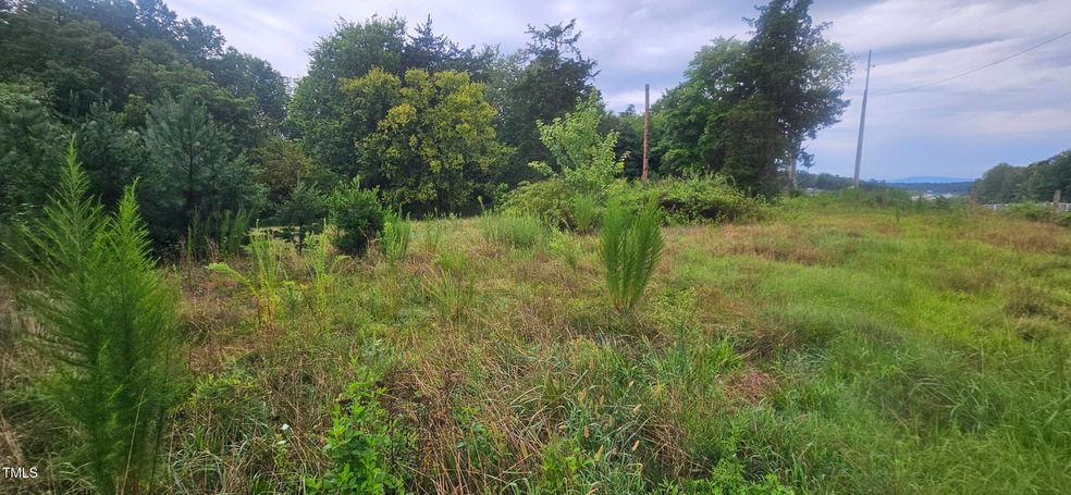 4944 Davis Rd, Winston Salem, NC 27105 - photo 1