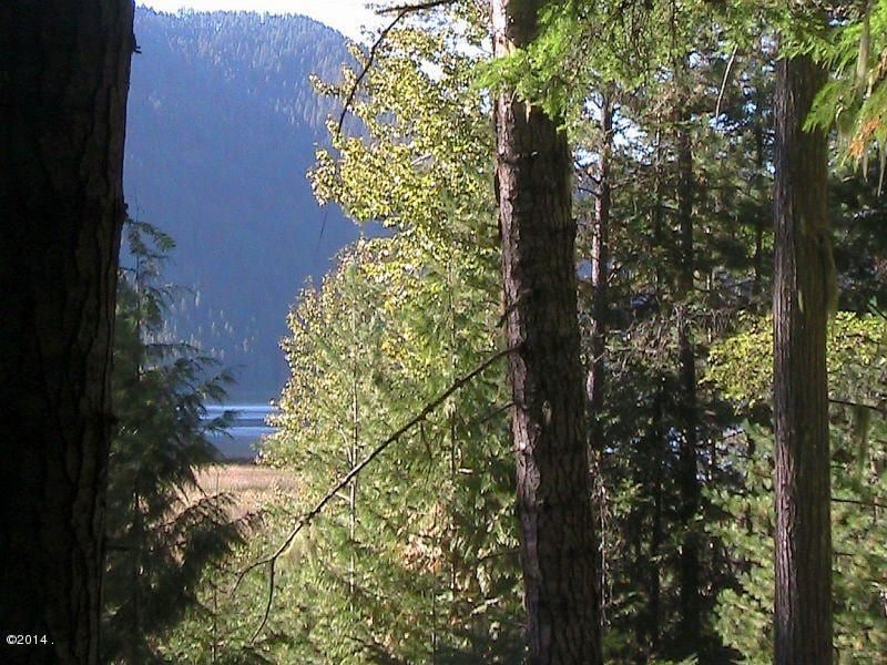 Clear some trees for great lake views