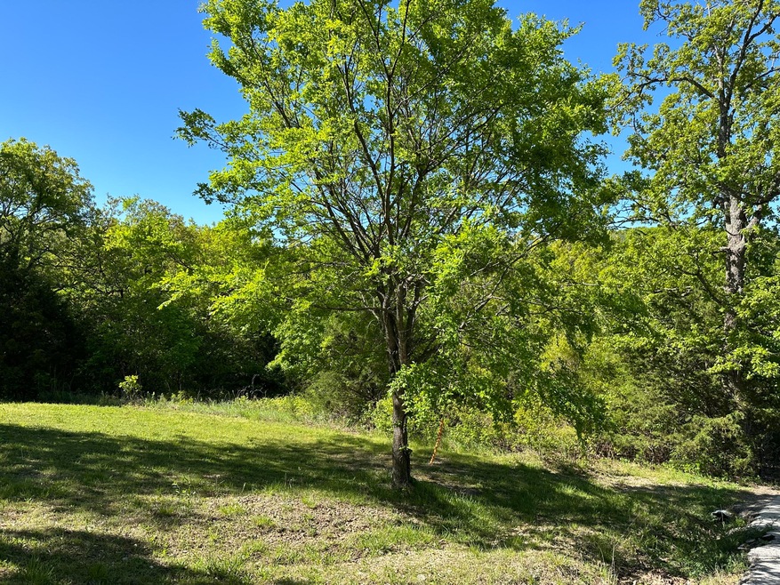 Lots 1-3 Olear'Y Dr, Kimberling City, MO 65686 - photo 1