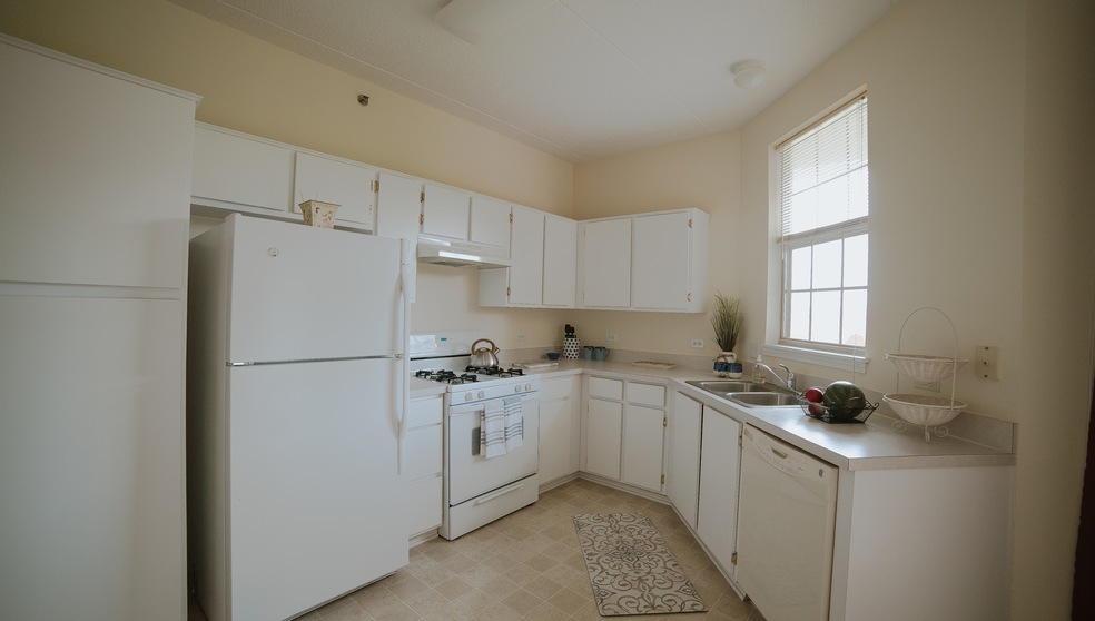 3115 Town Square Dr unit 304, Rolling Meadows, IL 60008 - photo 1