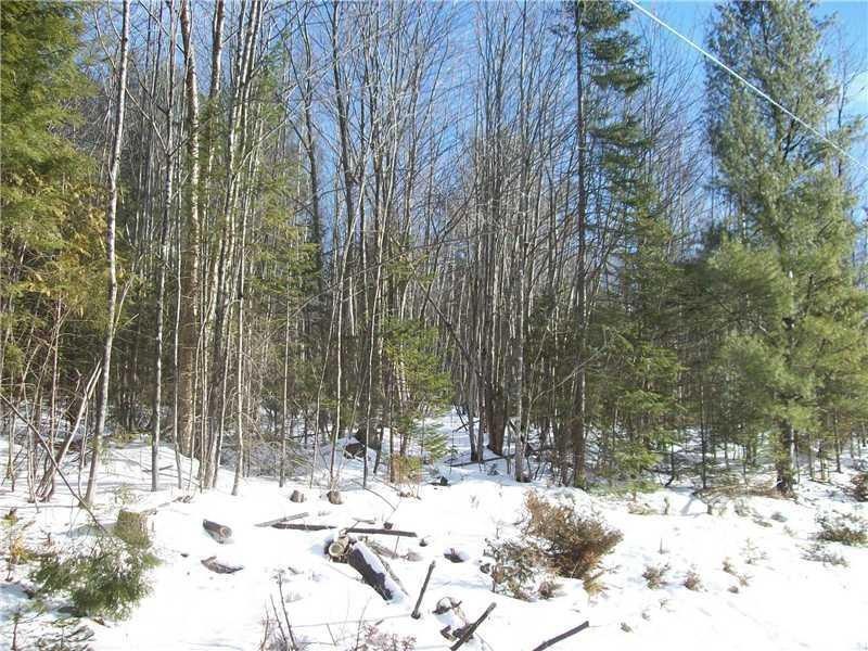 70 Hebron Rd, Buckfield, ME 04220 - photo 1