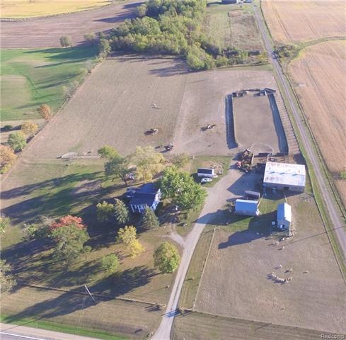 DJI_0010 (2).JPG