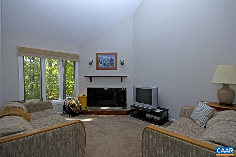 463 3 Ridges, Wintergreen Resort, VA 22967 - photo 1