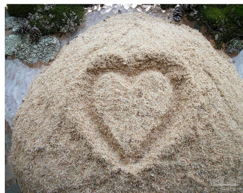 19-1N-27-0000 Durwood Ln, Milton, FL 32583 - photo 1