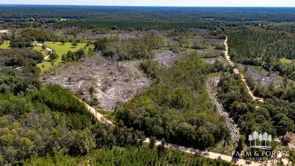 XX6 John Marsh Rd, Bonifay, FL 32425 - photo 1