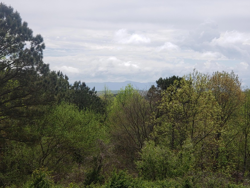20190409_121551