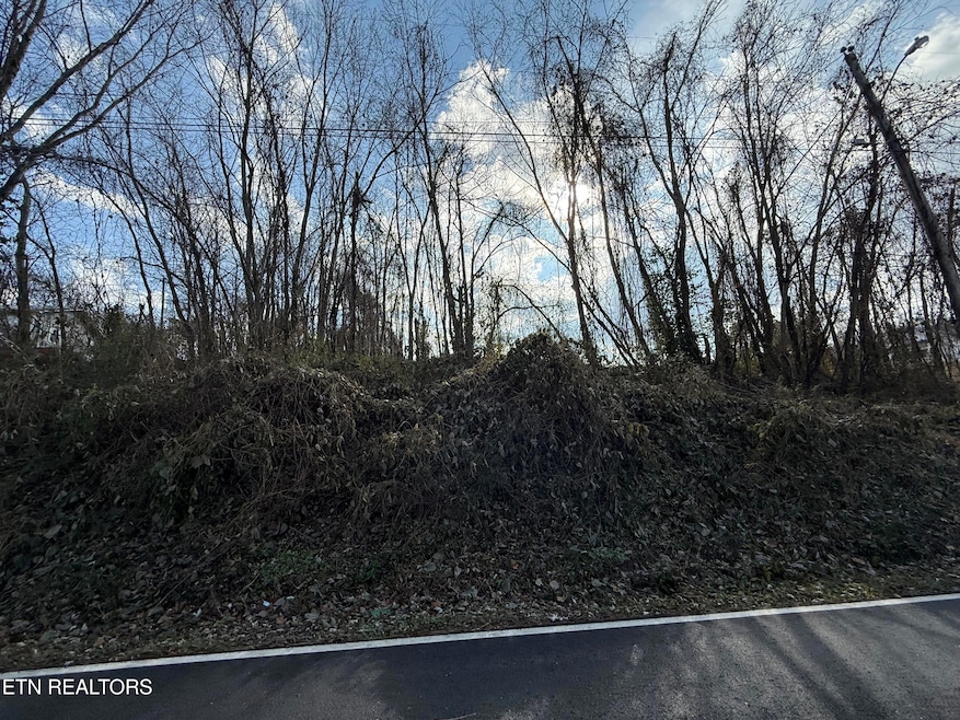 0 Jacksboro Station Rd unit 1322352, Jacksboro, TN 37757 - photo 1