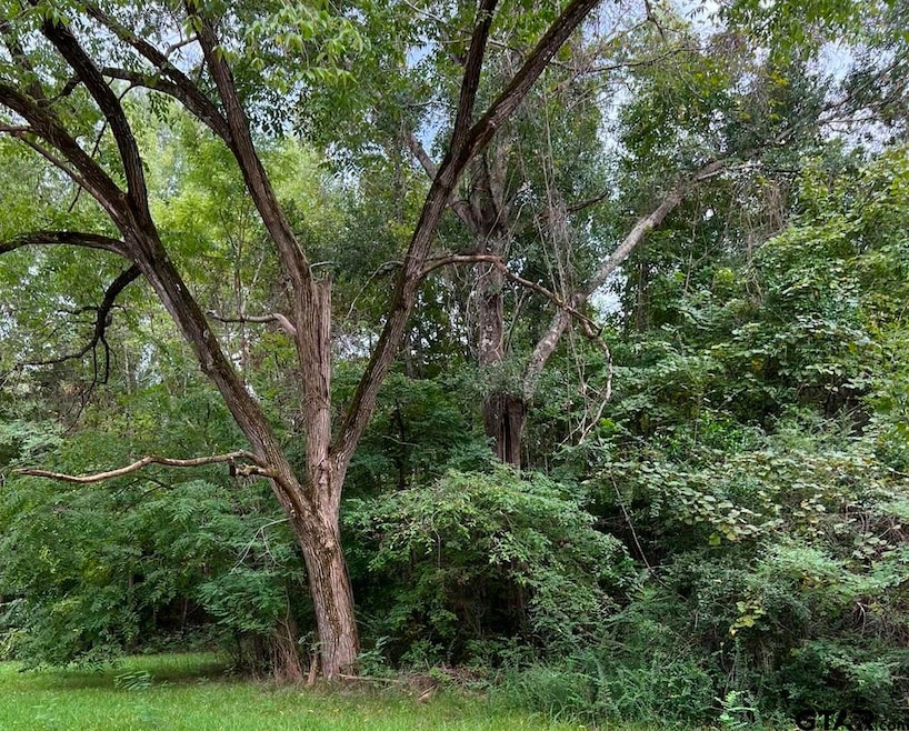 10465 Lakeshore Dr, Tyler, TX 75707 - photo 1