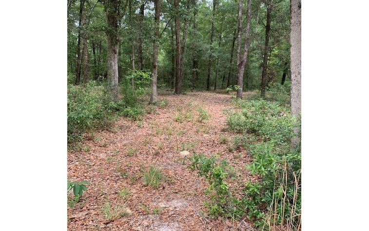 0 Illinios St unit 108473, Fort White, FL 32038 - photo 1