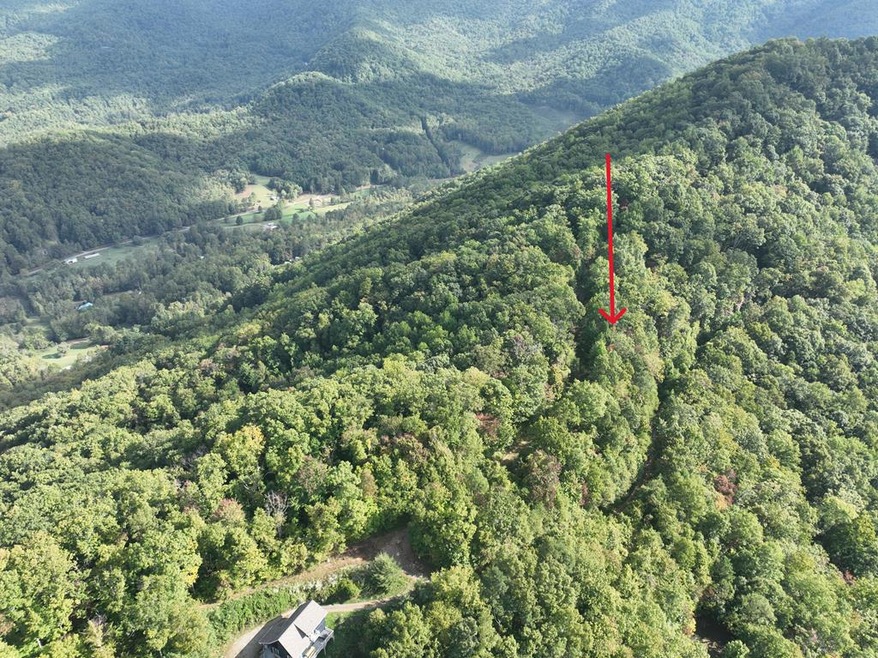 0 Burnt Leaf Ln unit 419226, Shooting Creek, NC 28904 - photo 1