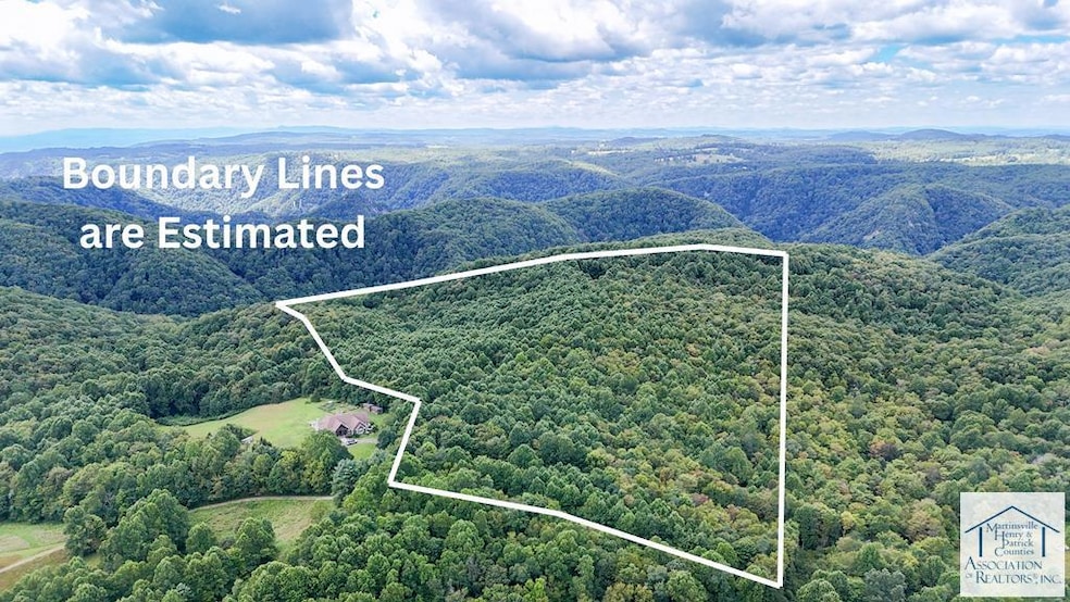 0 Bent School Rd, Meadows of Dan, VA 24120 - photo 1