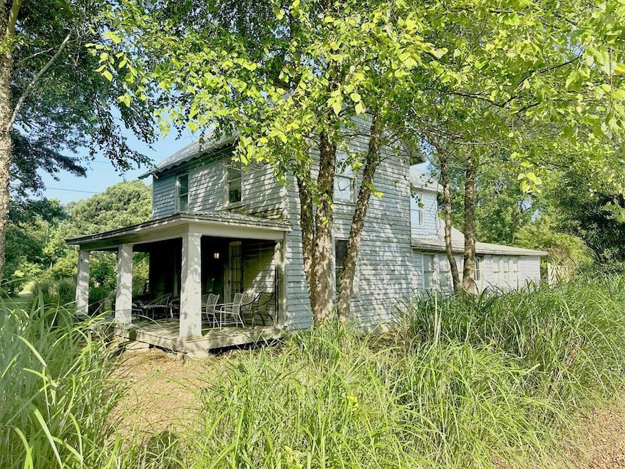Main View