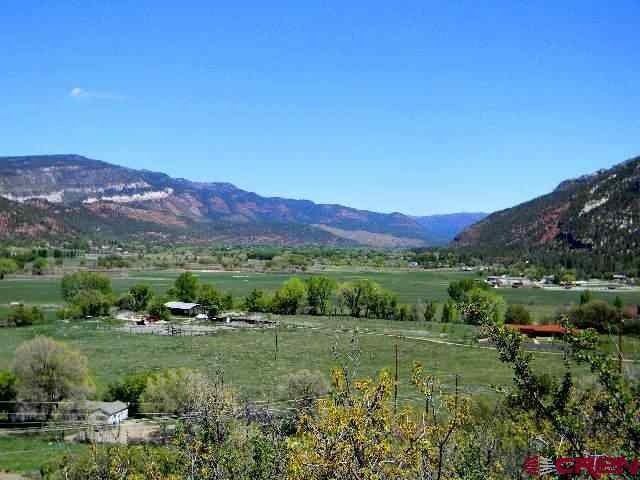 0 Elkridge Ln unit 654954, Durango, CO 81301 - photo 1