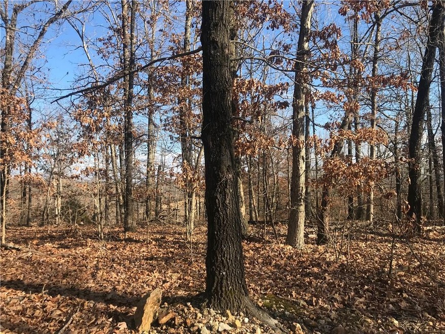 0 N U of A Beef Farm Rd unit 1104343, Fayetteville, AR 72704 - photo 1