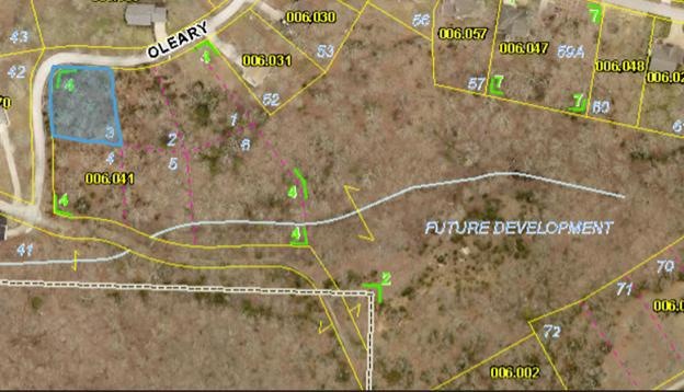 Lot 3 O'Leary Dr, Kimberling City, MO 65686 - photo 1