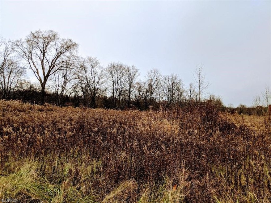 0 Ohio 307, Jefferson, OH 44047 - photo 1