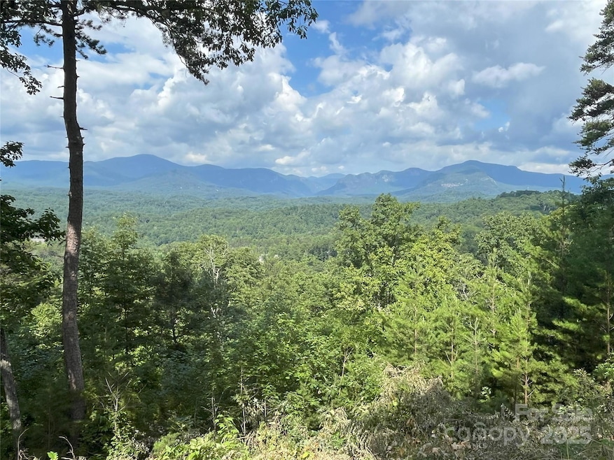 00 Bills Mountain Trail unit 6, Lake Lure, NC 28746 - photo 1