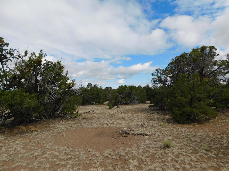 174 Agua Fria Loop, Quemado, NM 87829 - photo 1