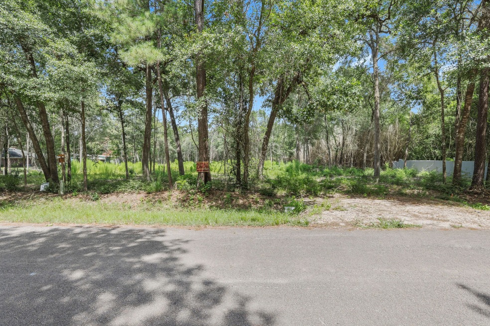 26706 Cherokee Ln, Magnolia, TX 77354 - photo 1