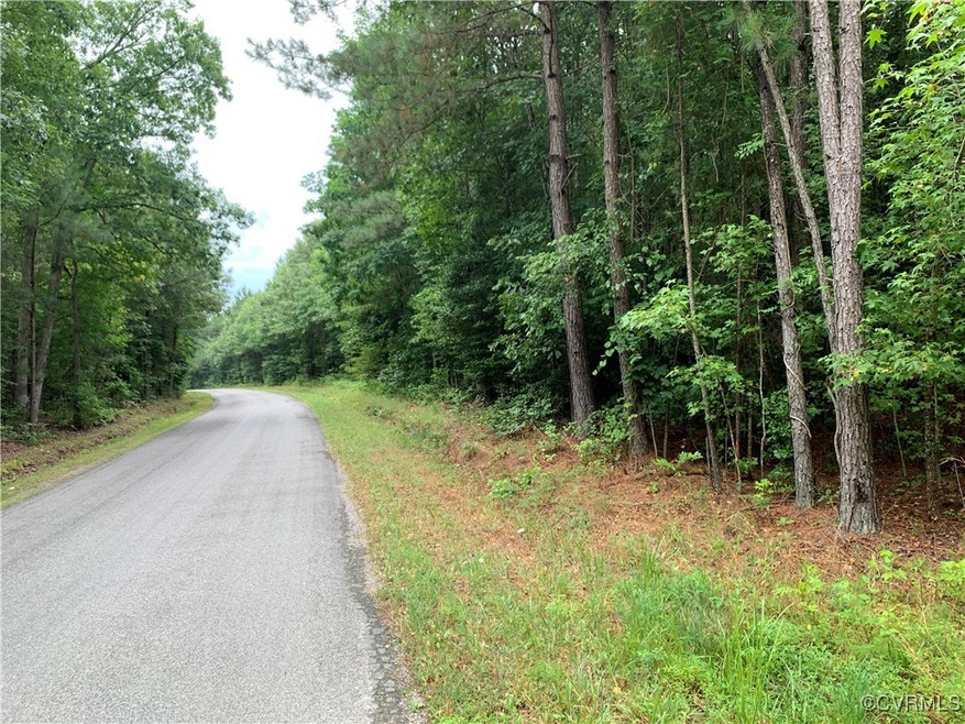 0000 Loving Union Rd, Prince George, VA 23842 - photo 1