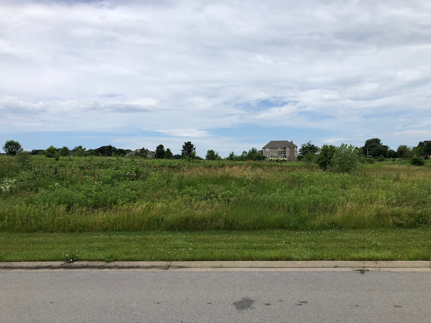 4569 Cherry Rd, Oswego, IL 60543 - photo 1