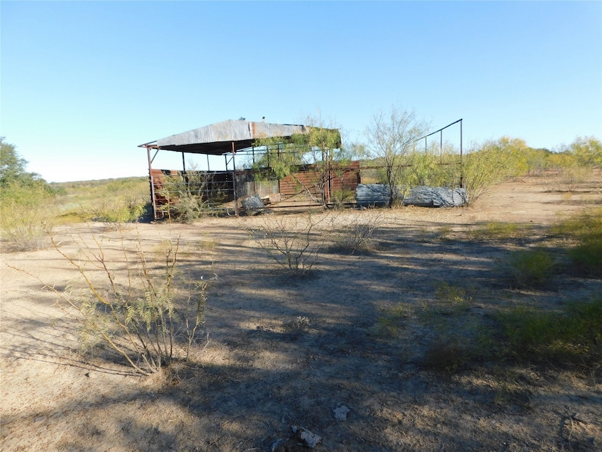 Tract 3 County Road 131, Brownwood, TX 76801 - photo 1