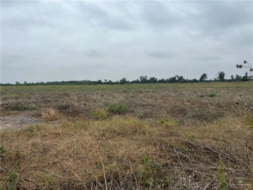 9.5 Mi N Doffing Rd, Mission, TX 78574 - photo 1