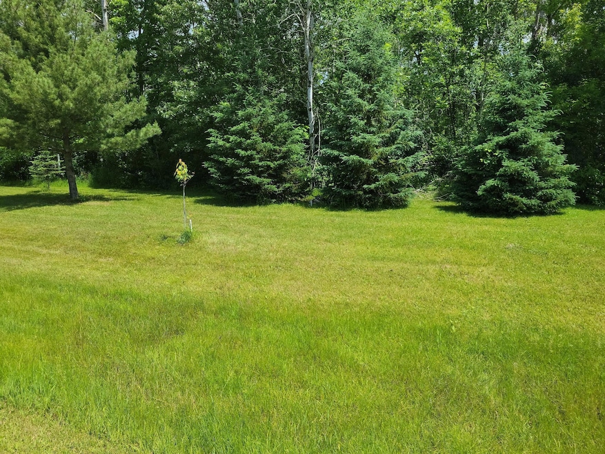 TBD Little Elk Dr, Randall, MN 56475 - photo 1