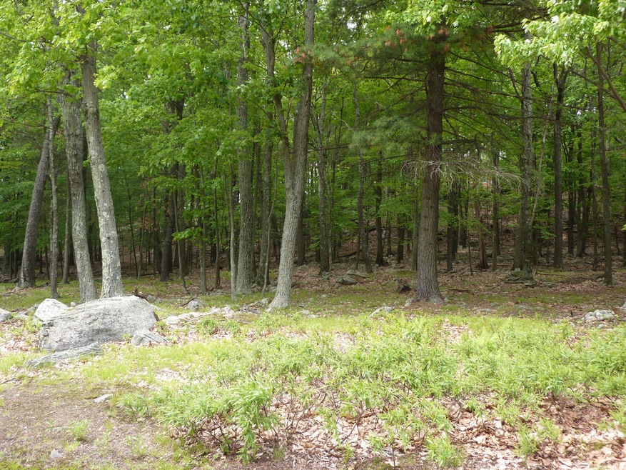 892 / 893 Pico Ln, Blooming Grove Township, PA 18464 - photo 1