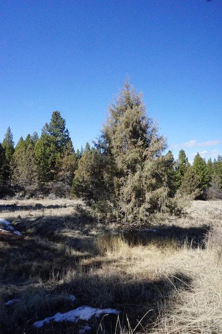 Sold $27,500 • Co-Listing Agent