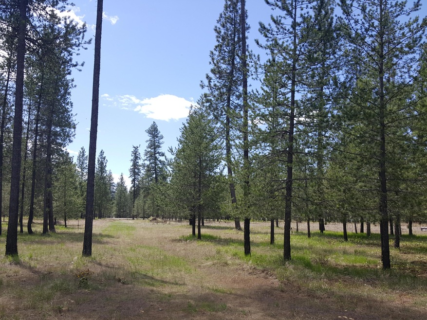 20190508_113940