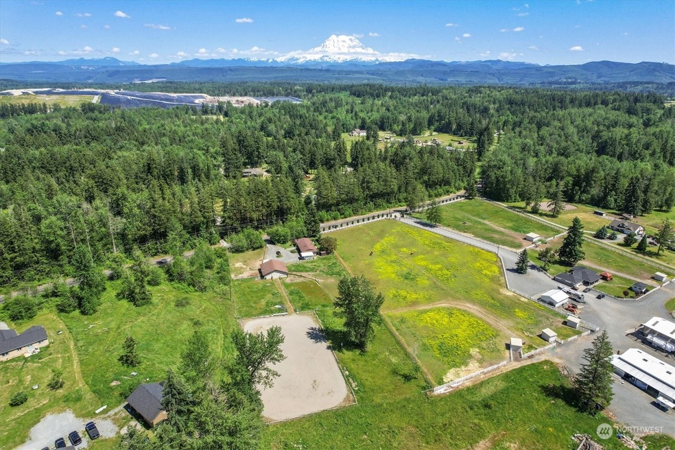 31602 Webster Rd E, Eatonville, WA 98328 - photo 1