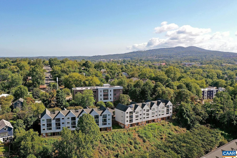 1606 Monticello Ave unit C, Charlottesville, VA 22902 - photo 1