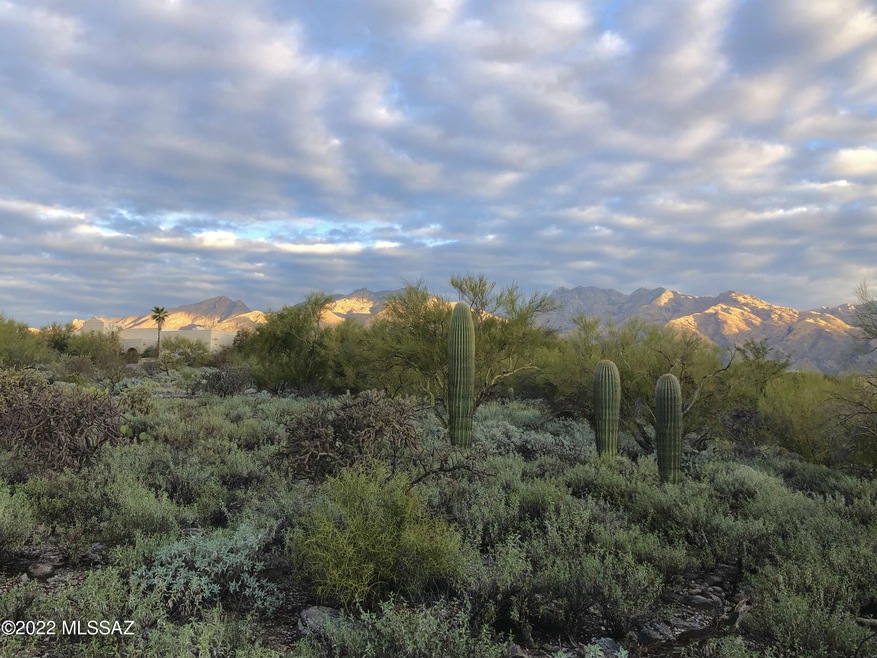 4290 N Círculo Manzanillo unit 39, Catalina Foothills, AZ 85750 - photo 1