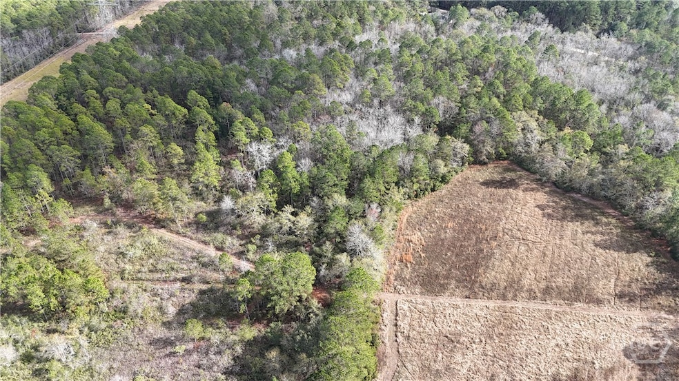 0 Mt Hope Rd unit Lot 5A, Guyton, GA 31312 - photo 1