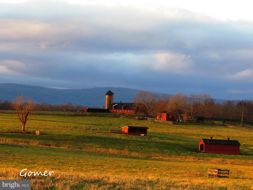 9024 Quadrangle Rd, Upperville, VA 20184 - photo 1