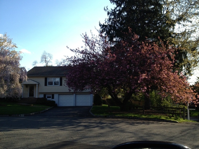 30 Wesley Ct, New Providence, NJ 07974 - photo 1