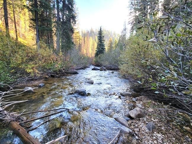 Financing Miningclaim Ownership, Idaho City, ID 83631 - photo 1