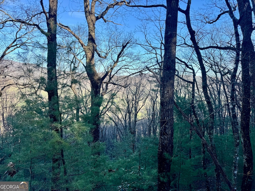 0 Mule Branch Rd unit 10655521, Helen, GA 30545 - photo 1